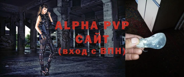 a pvp Новозыбков