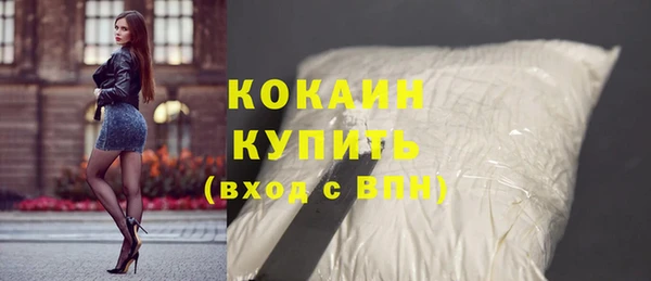 a pvp Новозыбков