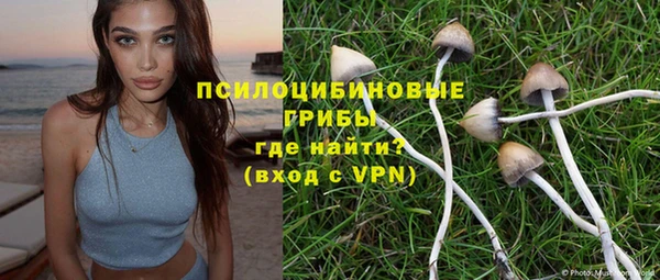 бошки Новокубанск