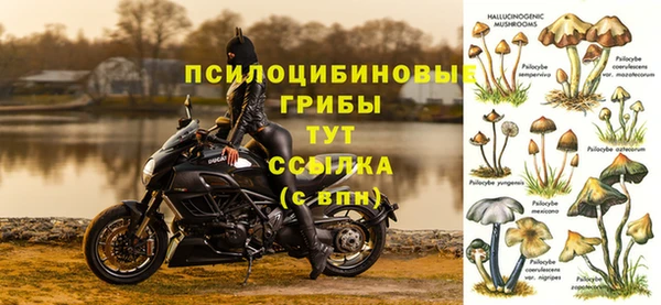 твердый Карпинск