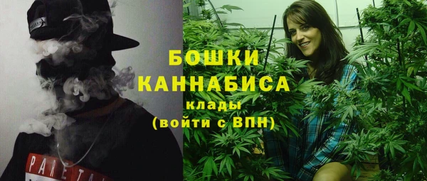 spice Новодвинск