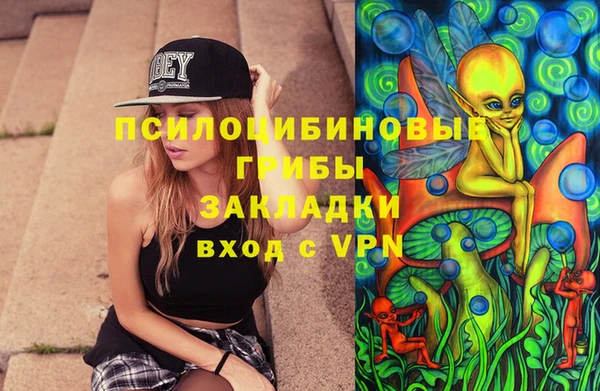 spice Новодвинск
