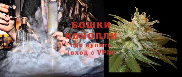 spice Новодвинск