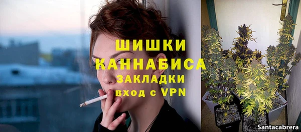 spice Новодвинск