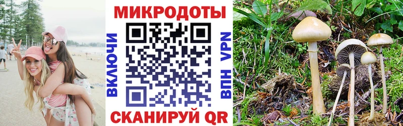 Псилоцибиновые грибы GOLDEN TEACHER  Харовск 